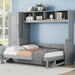 Full Size Murphy Bed Wall Bed with Closet and Drawers,Gray - DTYStore