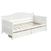Twin Wooden Daybed with 2 Drawers, Sofa Bed for Bedroom Living Room, No Box Spring Needed - DTYStore