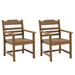 Patio Dining Chair with Armset Set of 2, HIPS Materialwith Imitation Wood Grain Wexture chair for Deck Pool Backyard, Teak - DTYStore