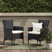 Clementine Outdoor Multibrown PE Wicker Dining Chairs (Set of 2) - DTYStore