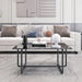 Modern Tempered Glass Tea Table Coffee Table, Table for Living Room,Black - DTYStore