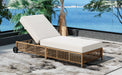 Outdoor Lounge Chair, Patio Chaise Lounge with 5-Position Backrest, Rattan Outdoor Lounge Chair with Cushion and Wheels for Poolside, Backyard, Garden (Natural+Beige) - DTYStore