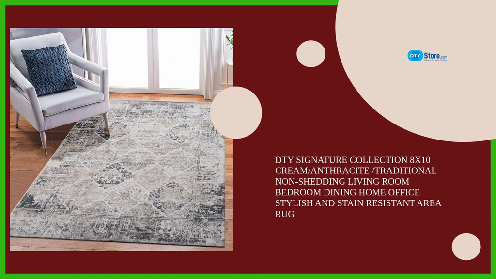 DTY Signature Collection 8X10 Cream/Anthracite /Traditional Non-Shedding Living Room Bedroom Dining Home Office Stylish and Stain Resistant Area Rug by@Outfy