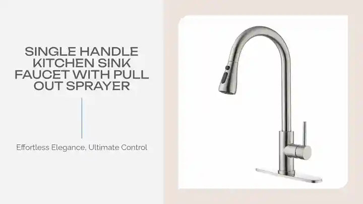 Single Handle Kitchen Sink Faucet with Pull Out Sprayer by@Outfy