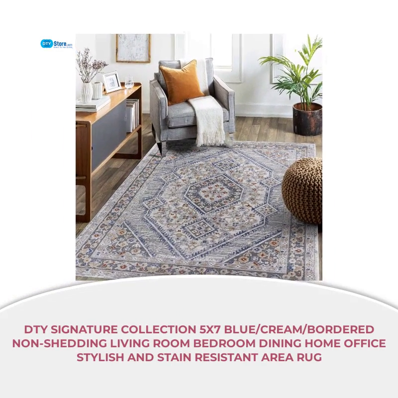 DTY Signature Collection 5X7 Blue/Cream/Bordered Non-Shedding Living Room Bedroom Dining Home Office Stylish and Stain Resistant Area Rug by@Outfy