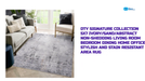 DTY Signature Collection 5X7 Ivory/Sand/Abstract Non-Shedding Living Room Bedroom Dining Home Office Stylish and Stain Resistant Area Rug by@Outfy