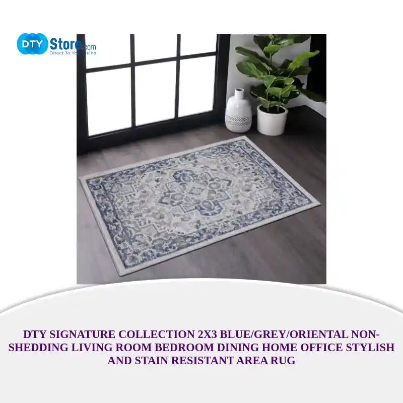 DTY Signature Collection 2X3 Blue/Grey/Oriental Non-Shedding Living Room Bedroom Dining Home Office Stylish and Stain Resistant Area Rug by@Outfy