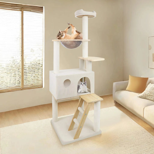 wood cat tree with large condo wood ladder and transparent spacecraft 165cm Default -DTYStore