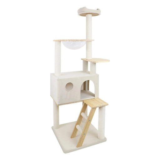 wood cat tree with large condo wood ladder and transparent spacecraft 165cm Default -DTYStore