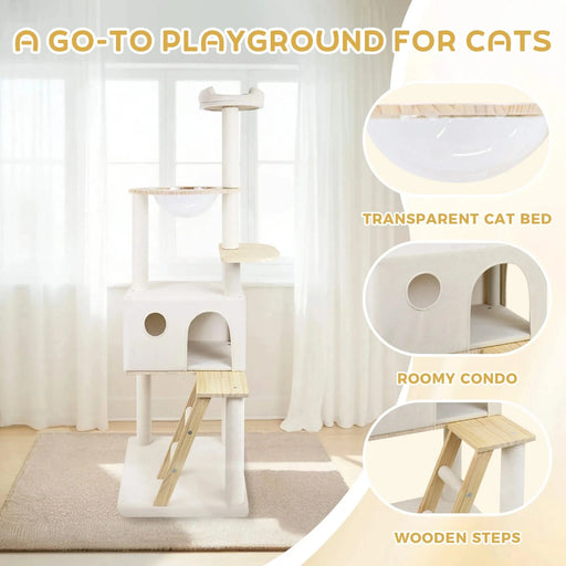 wood cat tree with large condo wood ladder and transparent spacecraft 165cm Default -DTYStore