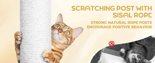 wood cat tree with large condo wood ladder and transparent spacecraft 165cm Default -DTYStore