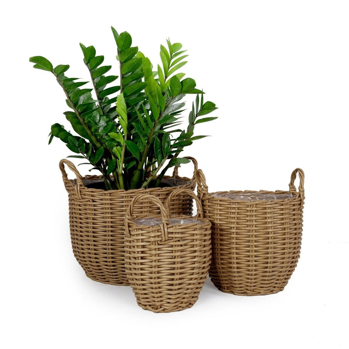 3-Pack Catleza Wicker Multi-purposes Basket with handler - Planter basketDTYStore
