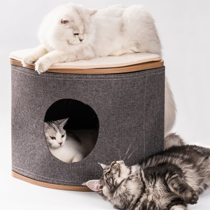Cat House Cat Bed for Cats, Wooden Corner Cat House Cave with 2 Washable CushionsDTYStore