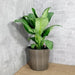 Catleza 13.4" Self-watering Wicker Decor Planter for Indoor and Outdoor - Round - Natural