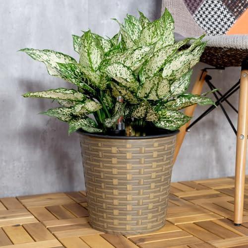 Catleza 13.4" Self-watering Wicker Decor Planter for Indoor and Outdoor - Round - Natural
