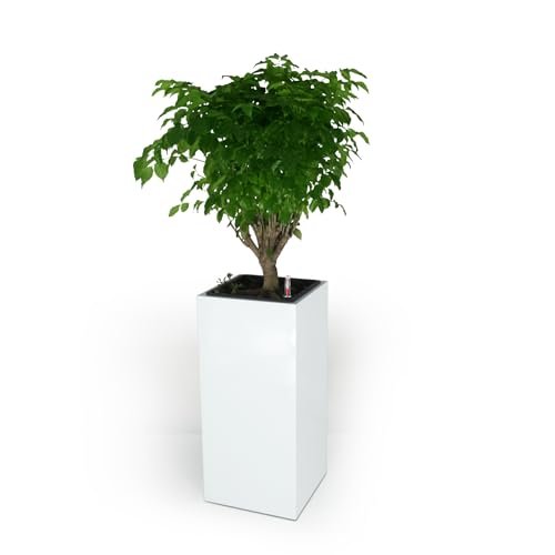 Catleza Composite Self-watering Square Planter Box - HighDTYStore