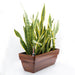 CATLEZA Rectangular Planter - DTYStore