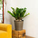 CATLEZA Round Wicker Planter - DTYStore