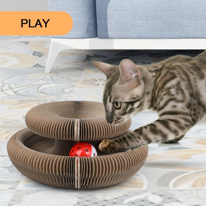 FluffyDream Magic Organ Cat Scratching Board, Interactive Scratch Pad with a Ball, Cat Scratcher for Grinding Claw, Recyclable and Durable, Furniture Protector, Retractable, Brown, ReversibleDTYStore